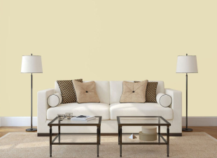 SƠN NHÀ MÀU VÀNG CÓ ĐẸP KHÔNG - TOP NHỮNG MÀU VÀNG ĐẸP NÊN SỬ DỤNG BẢNG MÀU SƠN DULUX