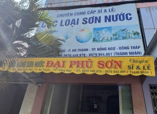 Dịch Vụ La Phông & Sơn Nước Hồng Ngự – Đẹp, Bền, Giá Hợp Lý